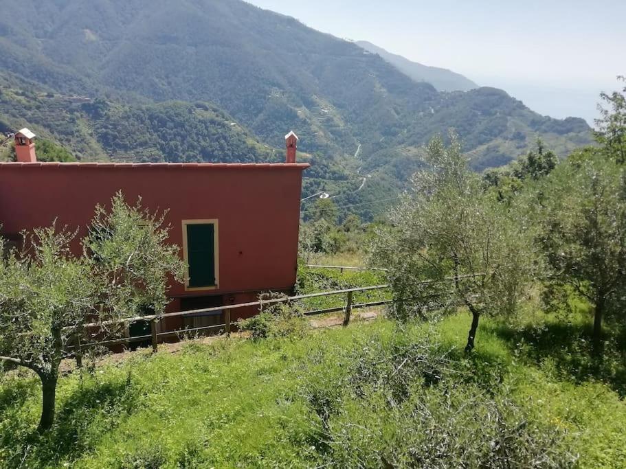 Quiet And Cozy Home With Wi-Fi Casa Prearino Vernazza Bagian luar foto