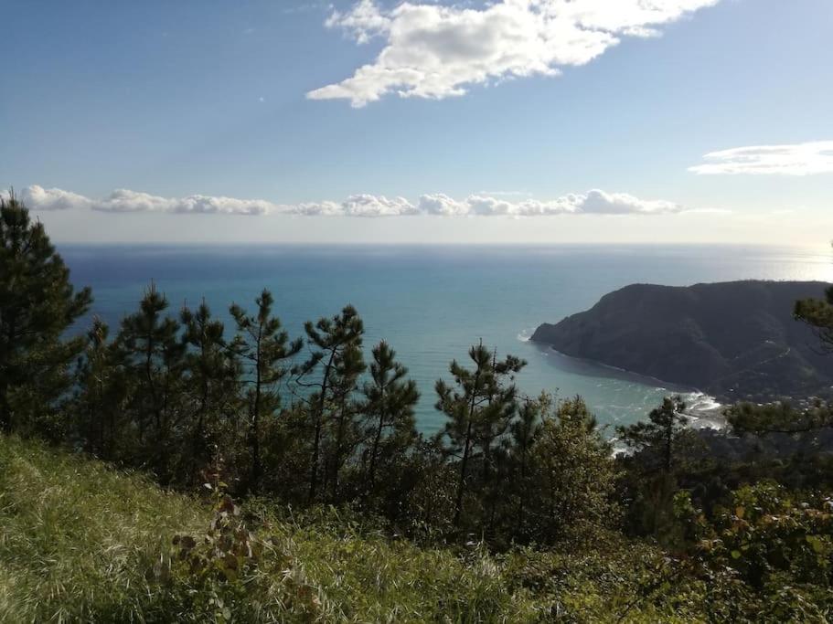 Quiet And Cozy Home With Wi-Fi Casa Prearino Vernazza Bagian luar foto